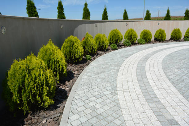 Best Professional Driveway Pavers  in Newton, NC